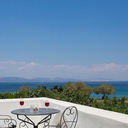 Aneli Luxury Villas-Villa Aegina Exteriér fotografie